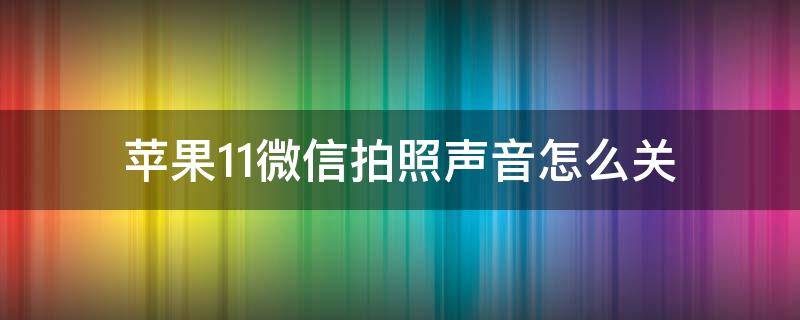 苹果11微信拍照声音怎么关（苹果11微信拍照声音怎么关闭）