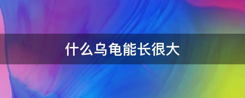 什么乌龟能长很大 什么乌龟可以长很大