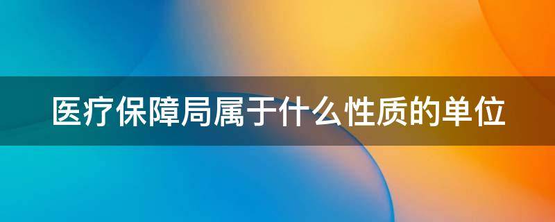 医疗保障局属于什么性质的单位（医疗保障局是管哪方面的）