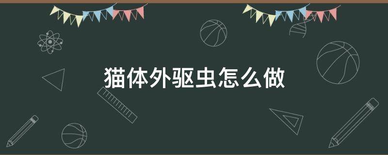 猫体外驱虫怎么做 猫体外驱虫怎么做视频