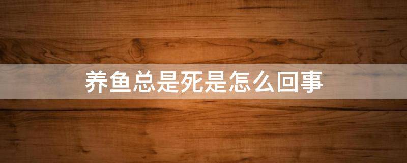 养鱼总是死是怎么回事 养鱼为什么老是死呢