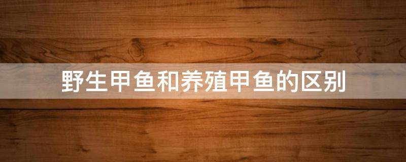 野生甲鱼和养殖甲鱼的区别（野生甲鱼和养殖甲鱼的区别在哪里）