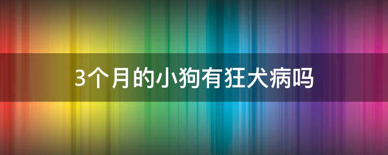 3个月的小狗有狂犬病吗（三个月的小狗有狂犬病吗）