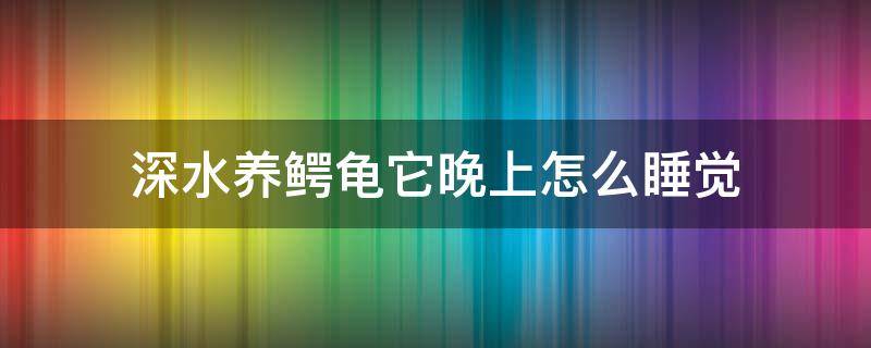 深水养鳄龟它晚上怎么睡觉（鳄龟晚上不睡觉）