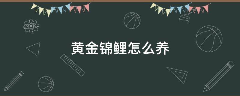 黄金锦鲤怎么养 黄金锦鲤怎么养不活