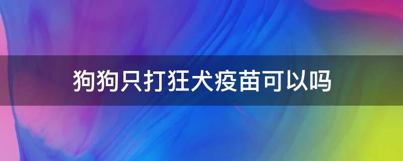 狗狗只打狂犬疫苗可以吗（狗只打了狂犬疫苗可以么）