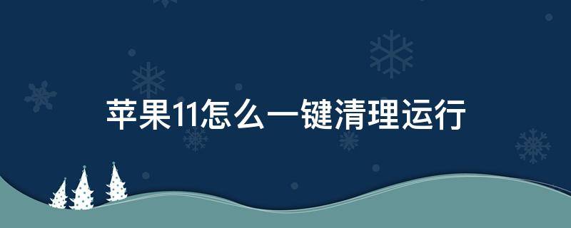 苹果11怎么一键清理运行（苹果11有没有一键清理）