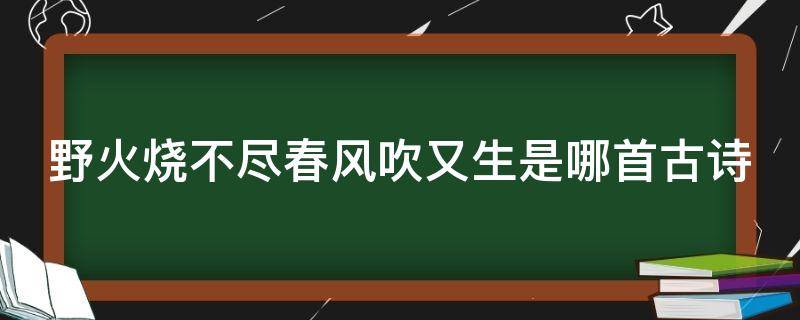 野火烧不尽春风吹又生是哪首古诗 野火烧不尽春风吹又生是哪首古诗几年级学的