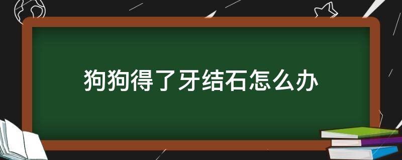 狗狗得了牙结石怎么办（狗狗的牙结石怎么办）