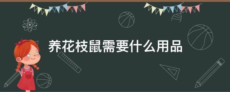 养花枝鼠需要什么用品 花枝鼠要什么日常用品