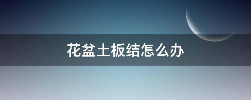 花盆土板结怎么办 米兰花盆土板结怎么办