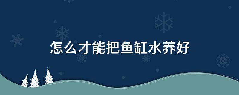 怎么才能把鱼缸水养好（鱼缸养鱼怎么才能养好水）