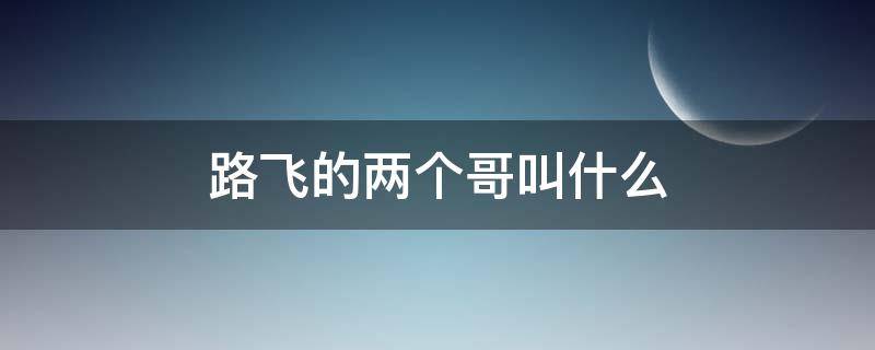 路飞的两个哥叫什么（路飞两个哥哥叫什么）