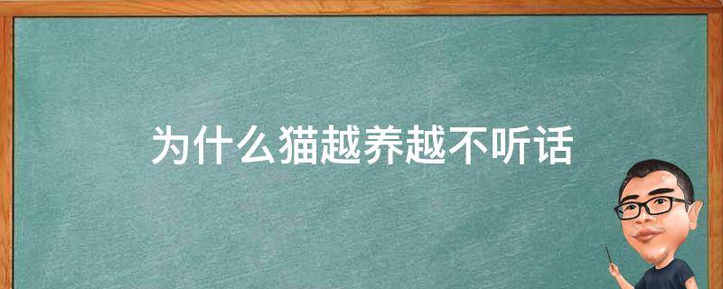 为什么猫越养越不听话 为什么猫越大越不听话