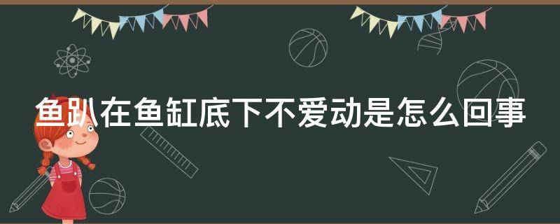 鱼趴在鱼缸底下不爱动是怎么回事 鱼趴在鱼缸底下不爱动是怎么回事还不吃食