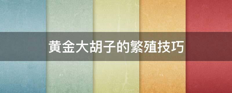 黄金大胡子的繁殖技巧 黄金大胡子如何繁殖