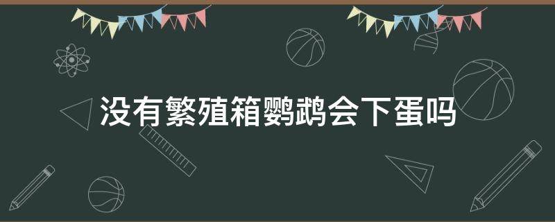 没有繁殖箱鹦鹉会下蛋吗（鹦鹉下了蛋不进繁殖箱）