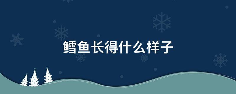 鳕鱼长得什么样子（鳕鱼的长相）