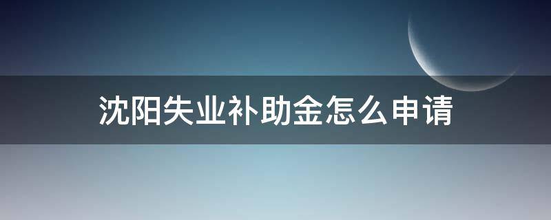 沈阳失业补助金怎么申请（沈阳失业补助金怎么申请需要什么要求）