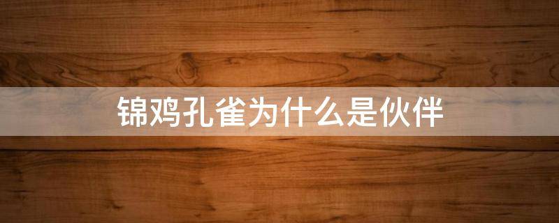 锦鸡孔雀为什么是伙伴 孔雀锦鸡是伙伴还有什么和什么是伙伴