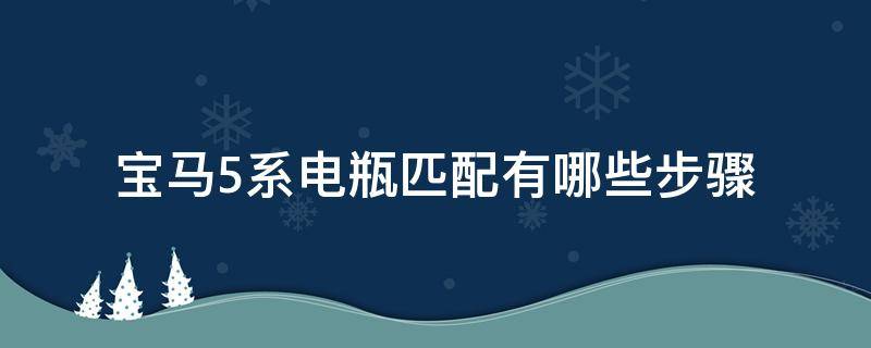 宝马5系电瓶匹配有哪些步骤（宝马5系用什么电瓶）