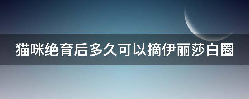 猫咪绝育后多久可以摘伊丽莎白圈 公猫绝育三天可以摘头套了吗