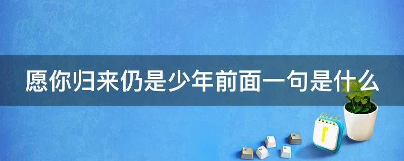 愿你归来仍是少年前面一句是什么（愿你归来仍是少年前面一句是什么歌）