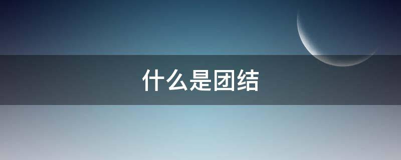 什么是团结 什么是团结的力量