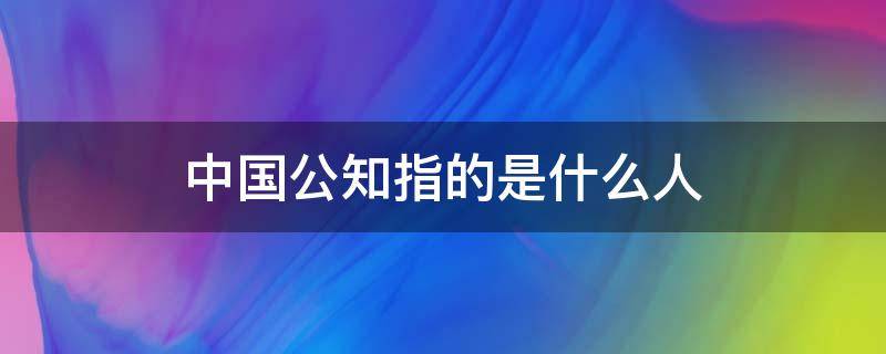 中国公知指的是什么人 谁是中国的公知