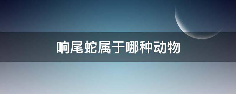 响尾蛇属于哪种动物（响尾蛇属于哪种动物a环节动物b爬行动物c软体动物）