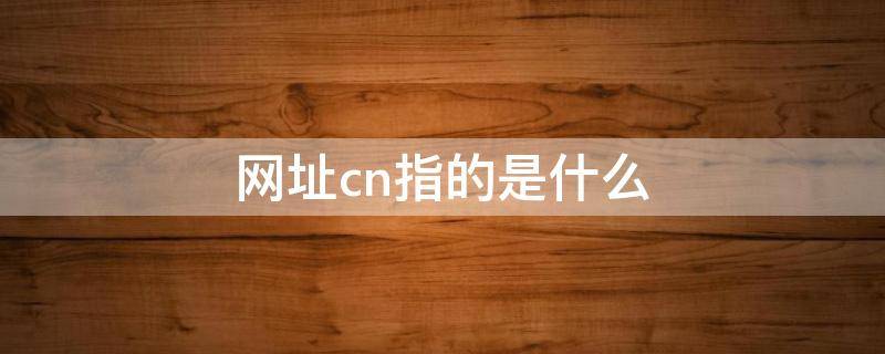 网址cn指的是什么（网址cn指的是什么域名）