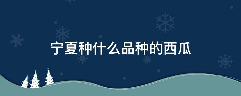 宁夏种什么品种的西瓜 宁夏产什么西瓜