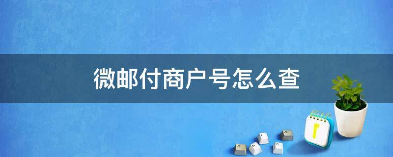 微邮付商户号怎么查 邮政微邮付商户号怎么查