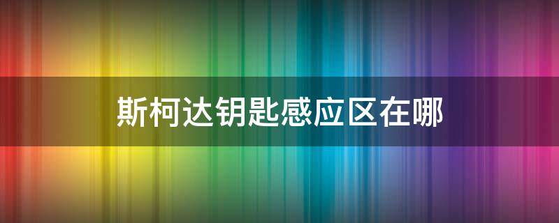 斯柯达钥匙感应区在哪 斯柯达钥匙感应区在哪里