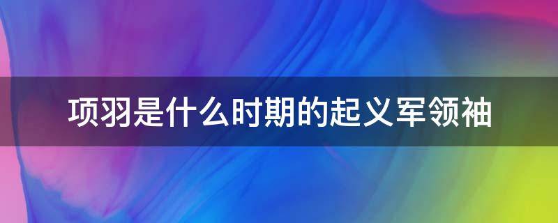 项羽是什么时期的起义军领袖 项羽是什么时期的起义军领袖?