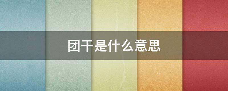 团干是什么意思（团干是啥意思）