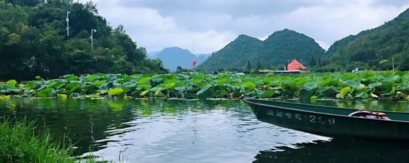 文山属于红河州吗（文山州和红河州）