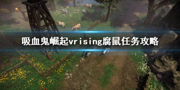 v vivo官网