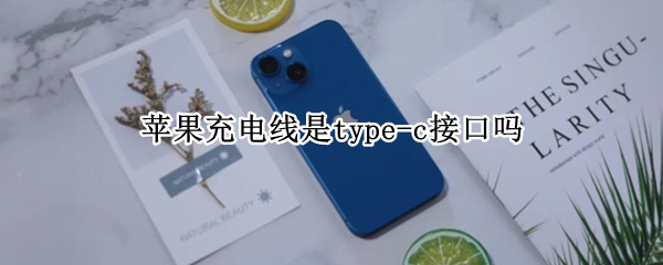 苹果充电线是type-c接口吗 苹果充电口跟type-c有啥区别