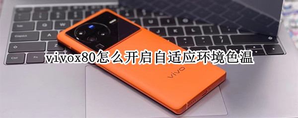 vivox80怎么开启自适应环境色温（x280色温怎么调）