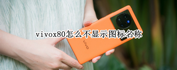 vivox80怎么不显示图标名称（vivo手机图标不显示名称）