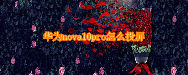 华为nova10pro怎么投屏（华为mate10pro能投屏吗）