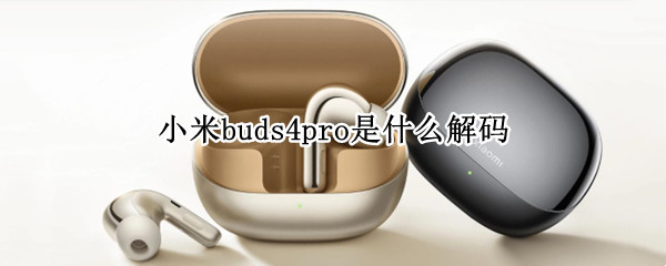 小米buds4pro是什么解码（小米flipbuds pro蓝牙音频解码）