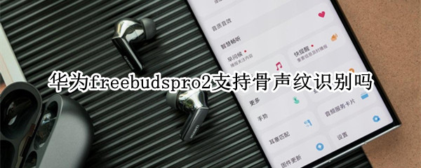 华为freebudspro2支持骨声纹识别吗（freebuds2pro骨声纹 支持的手机）