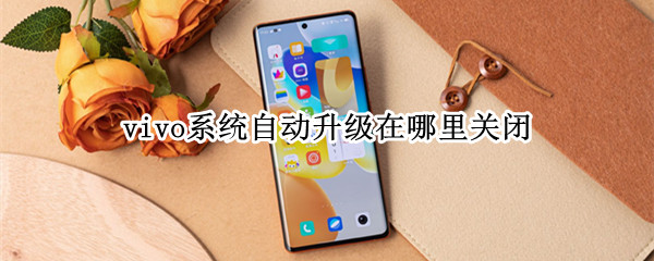 vivo系统自动升级在哪里关闭 vivo手机如何关闭自动升级系统