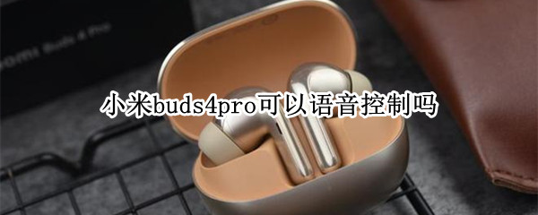 小米buds4pro可以语音控制吗（小米用buds pro）