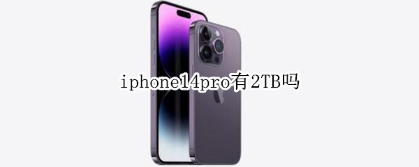 iphone14pro有2TB吗（苹果12pro4g）