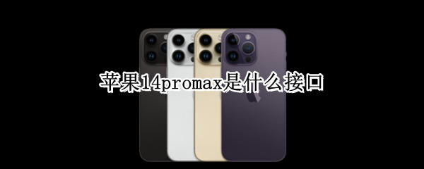 苹果14promax是什么接口 苹果11promax是什么接口