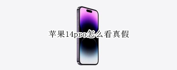 苹果14pro怎么看真假（如何辨别iphone12pro真假）