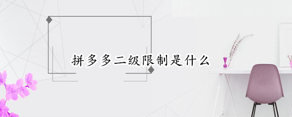 拼多多二级限制是什么（拼多多二级限制是什么意思）